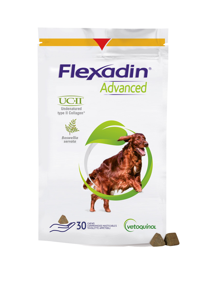 Flexadin Advanced koirille - Tukemaan nivelterveyttä