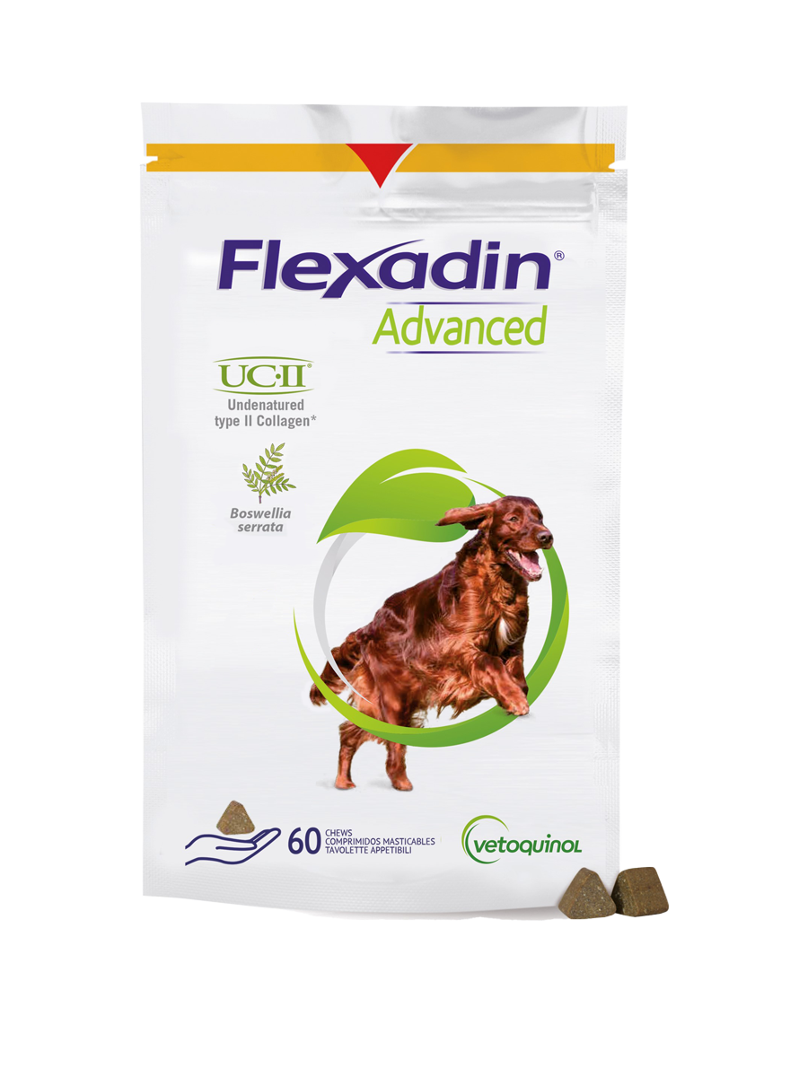Flexadin Advanced koirille - Tukemaan nivelterveyttä, 60 tabl