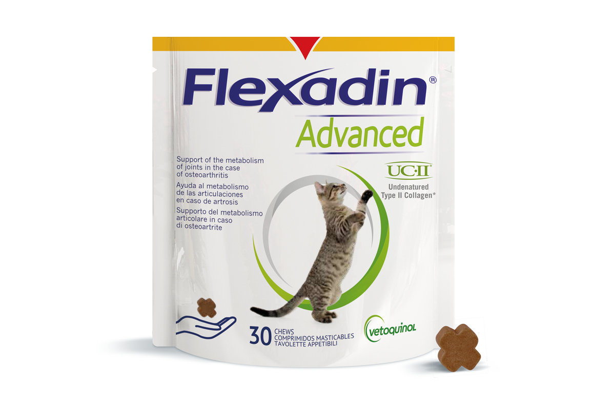 Flexadin Advanced kissoille - Tukemaan nivelterveyttä