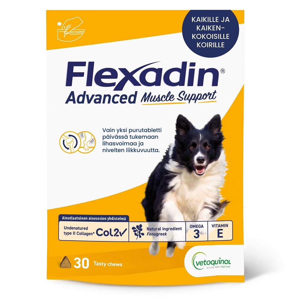 Flexadin Advanced Muscle Support - Nivelten ja lihasmassan tukemiseen koirille 30 tabl.