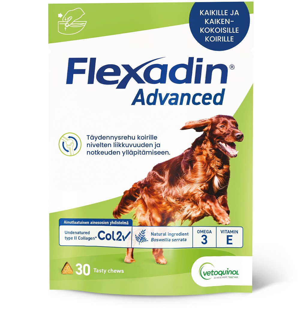 Flexadin Advanced koirille - Tukemaan nivelterveyttä
