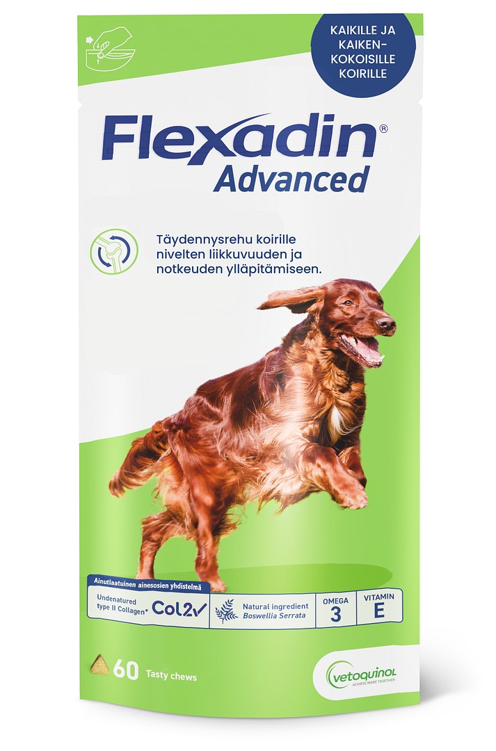 Flexadin Advanced koirille - Tukemaan nivelterveyttä
