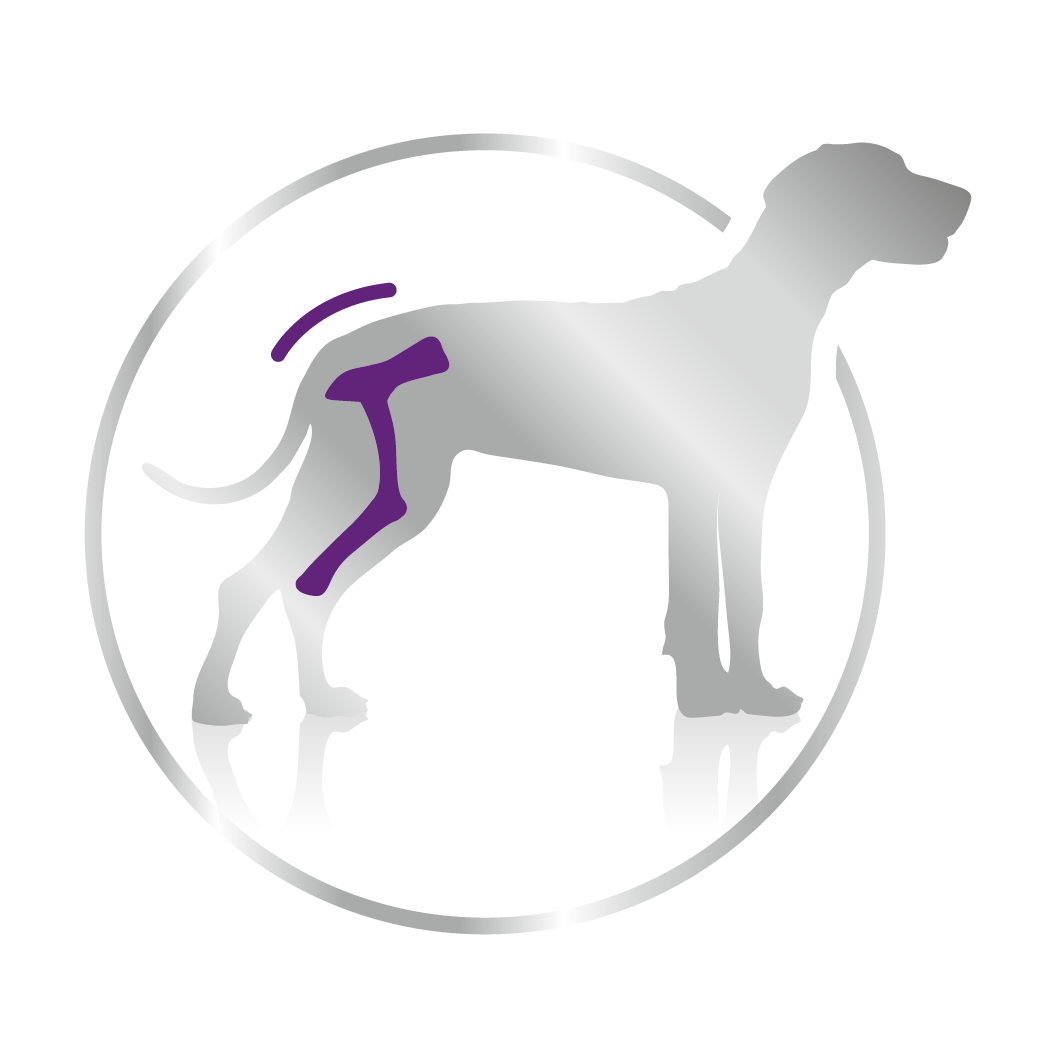 Royal Canin Giant Adult