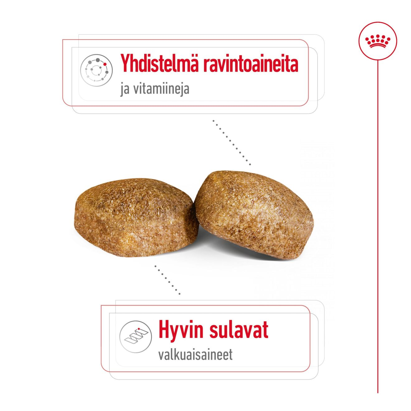 Royal Canin Giant Adult