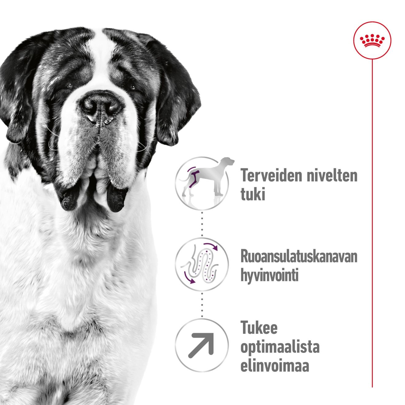 Royal Canin Giant Adult