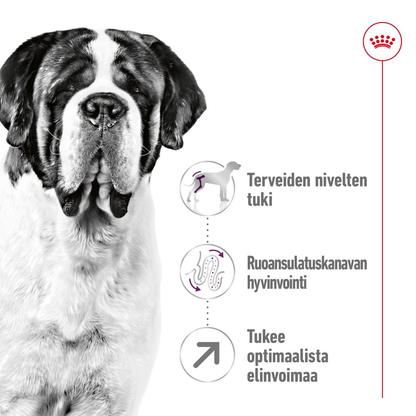 Royal Canin Giant Adult