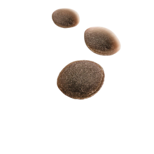 Royal Canin Training Treats 110 g