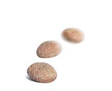 Royal Canin Hypoallergenic Treats 230g