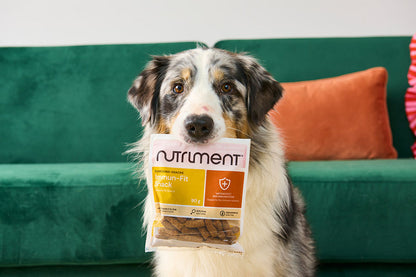 Nutriment® Immune Defence Snack 90 g