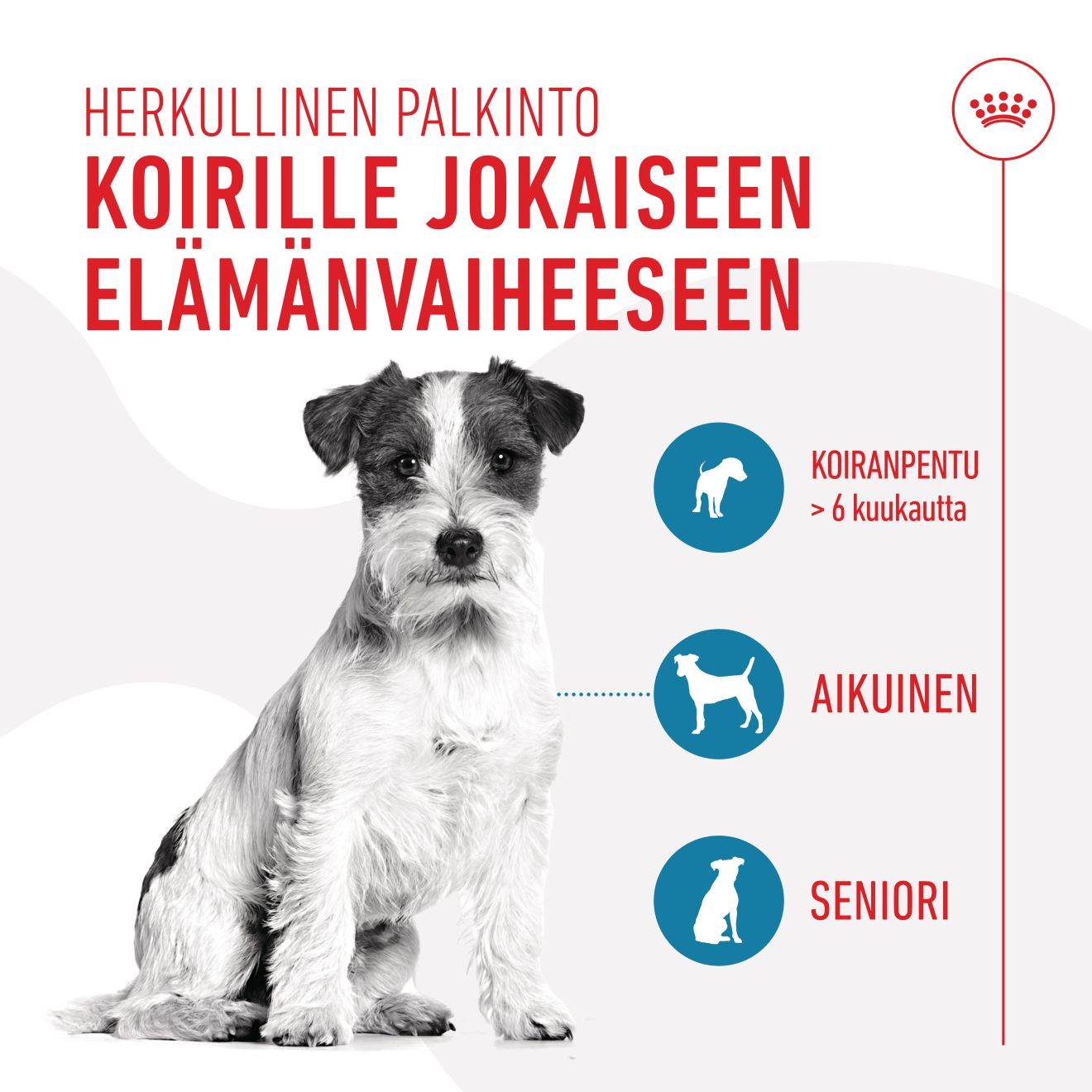 Royal Canin Training Treats 110 g