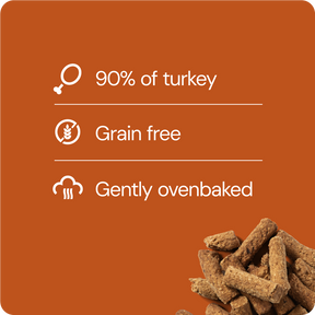 RAUH! Turkey Treat 100 g