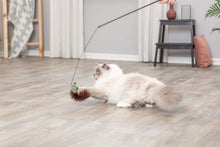 Kissanhuiska hiirellä