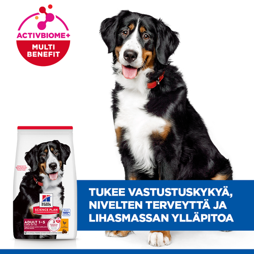 Hill's SCIENCE PLAN Canine Large Breed Adult chicken