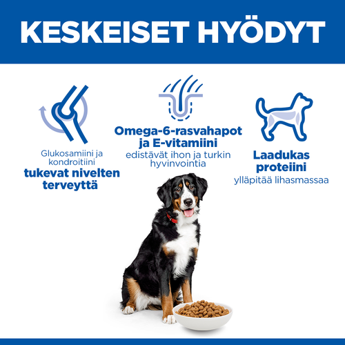 Hill's SCIENCE PLAN Canine Large Breed Adult chicken