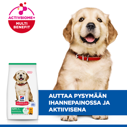 Hill's SCIENCE PLAN Canine Large Breed Puppy chicken