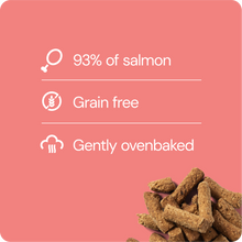 RAUH! Salmon Treat 100 g