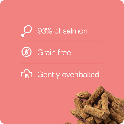 Nutriment (ent.RAUH!) Salmon Treat 100 g