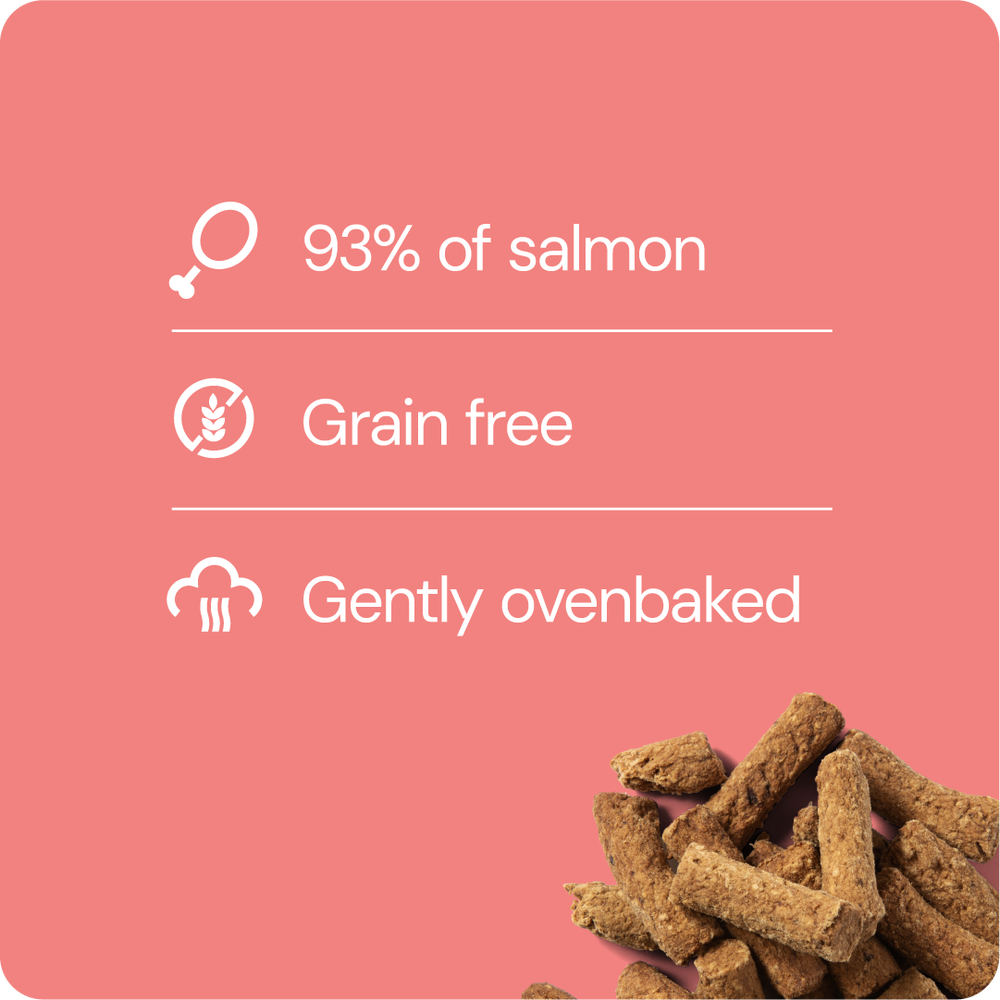 RAUH! Salmon Treat 100 g