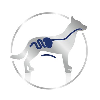 Royal Canin Maxi Adult