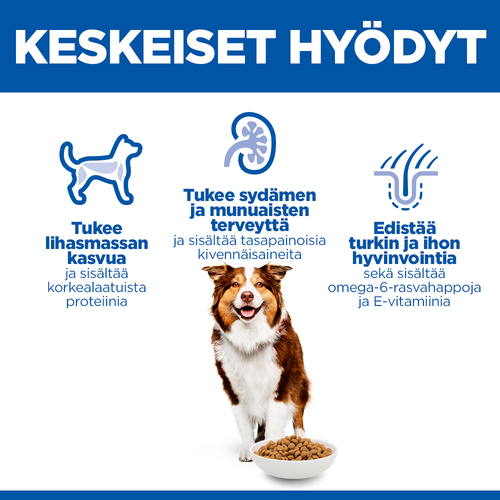 Hill's SCIENCE PLAN Canine Medium Mature Adult chicken