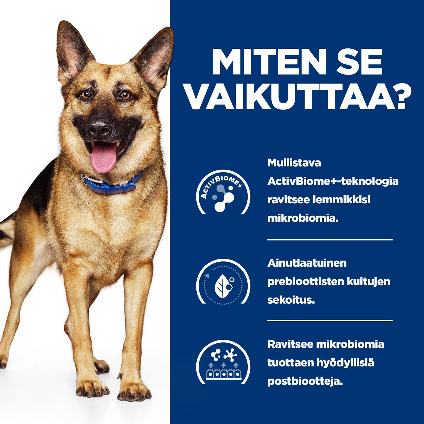Hill's PRESCRIPTION DIET Gastrointestinal Biome muhennos koirille - kana & porkkanaa 12x354g - BK32324M_BK32555_How_Works_FI