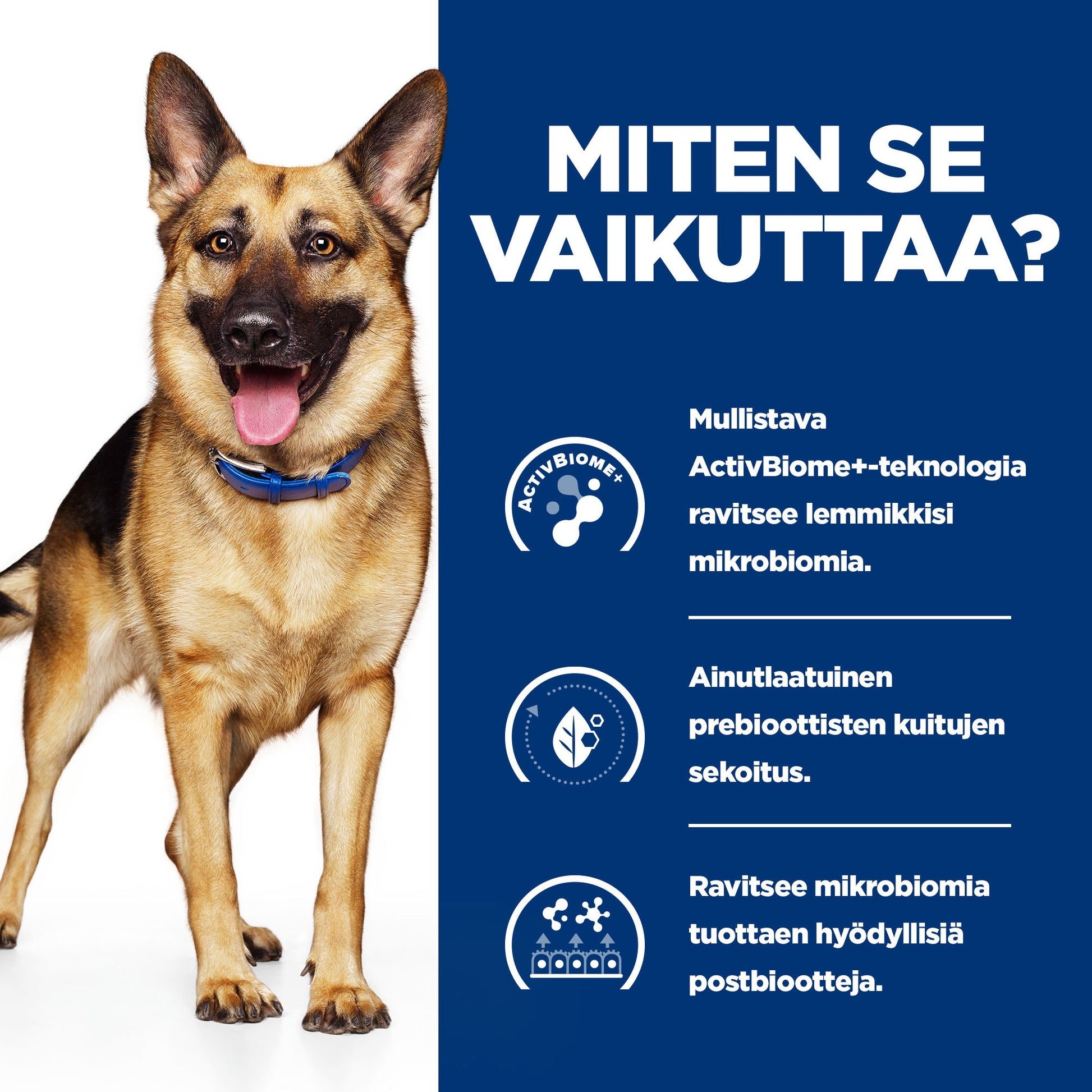 Hill's PRESCRIPTION DIET Gastrointestinal Biome muhennos koirille - kana & porkkanaa 12x354g - BK32324M_BK32555_How_Works_FI