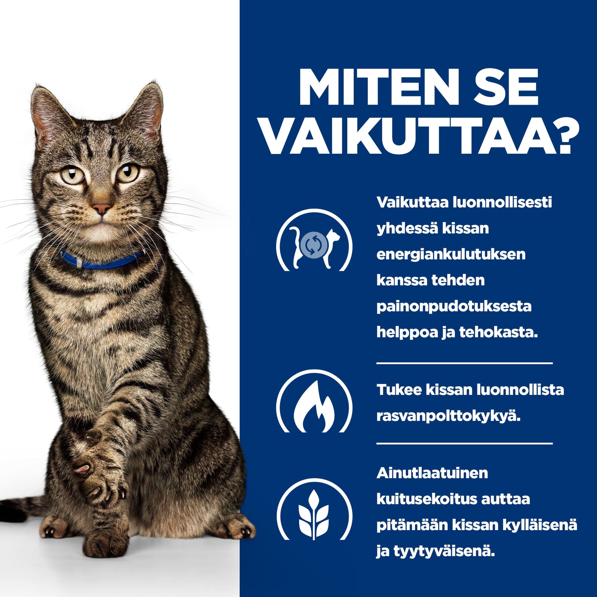 Hill's PRESCRIPTION DIET Metabolic kissan märkäruoka - kana 12x85g - BK27701_BK25986M_BK28138_BK23678M_How_Works_FI
