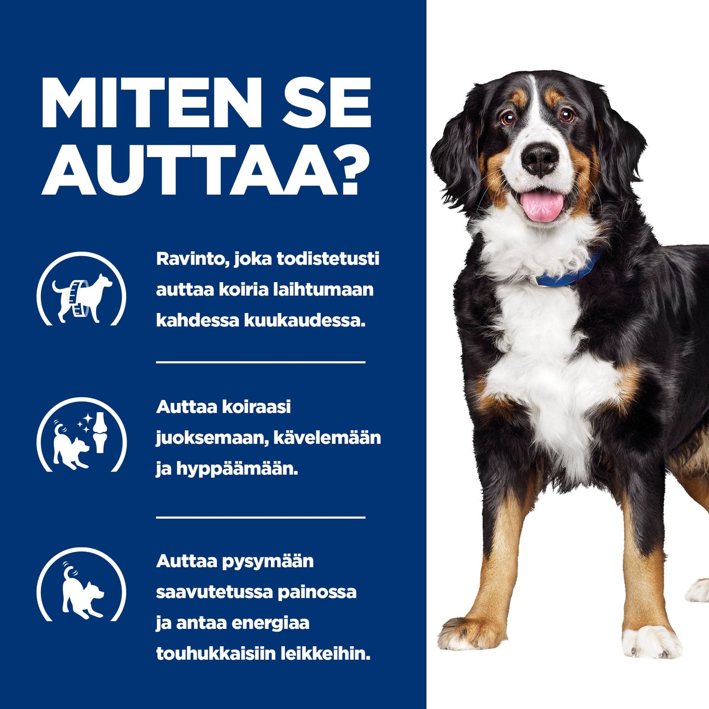 Hill's PRESCRIPTION DIET Metabolic + Mobility koiran kuivaruoka - kana - BK31839M_BK28469_How_Helps_FI