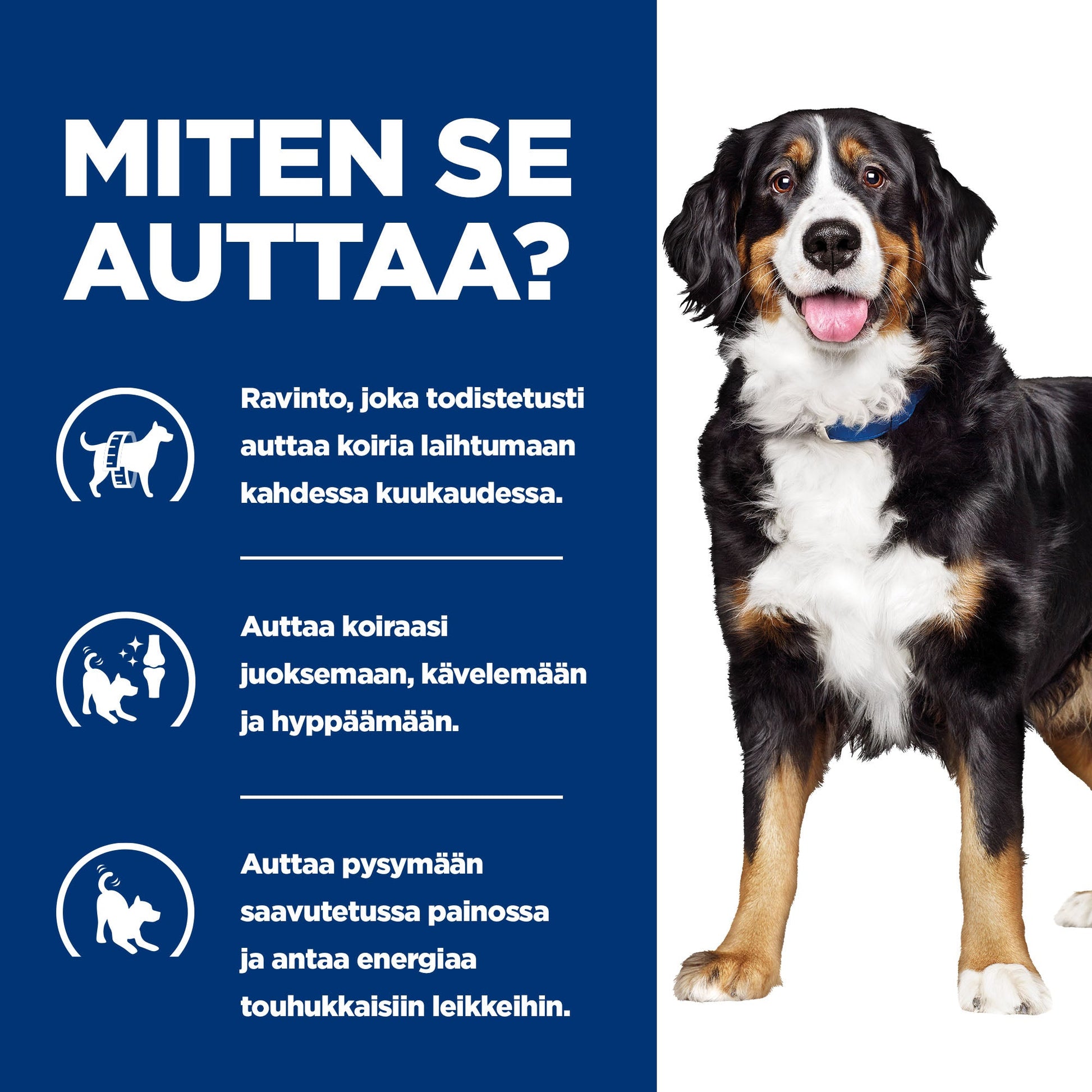 Hill's PRESCRIPTION DIET Metabolic + Mobility koiran kuivaruoka - kana - BK31839M_BK28469_How_Helps_FI