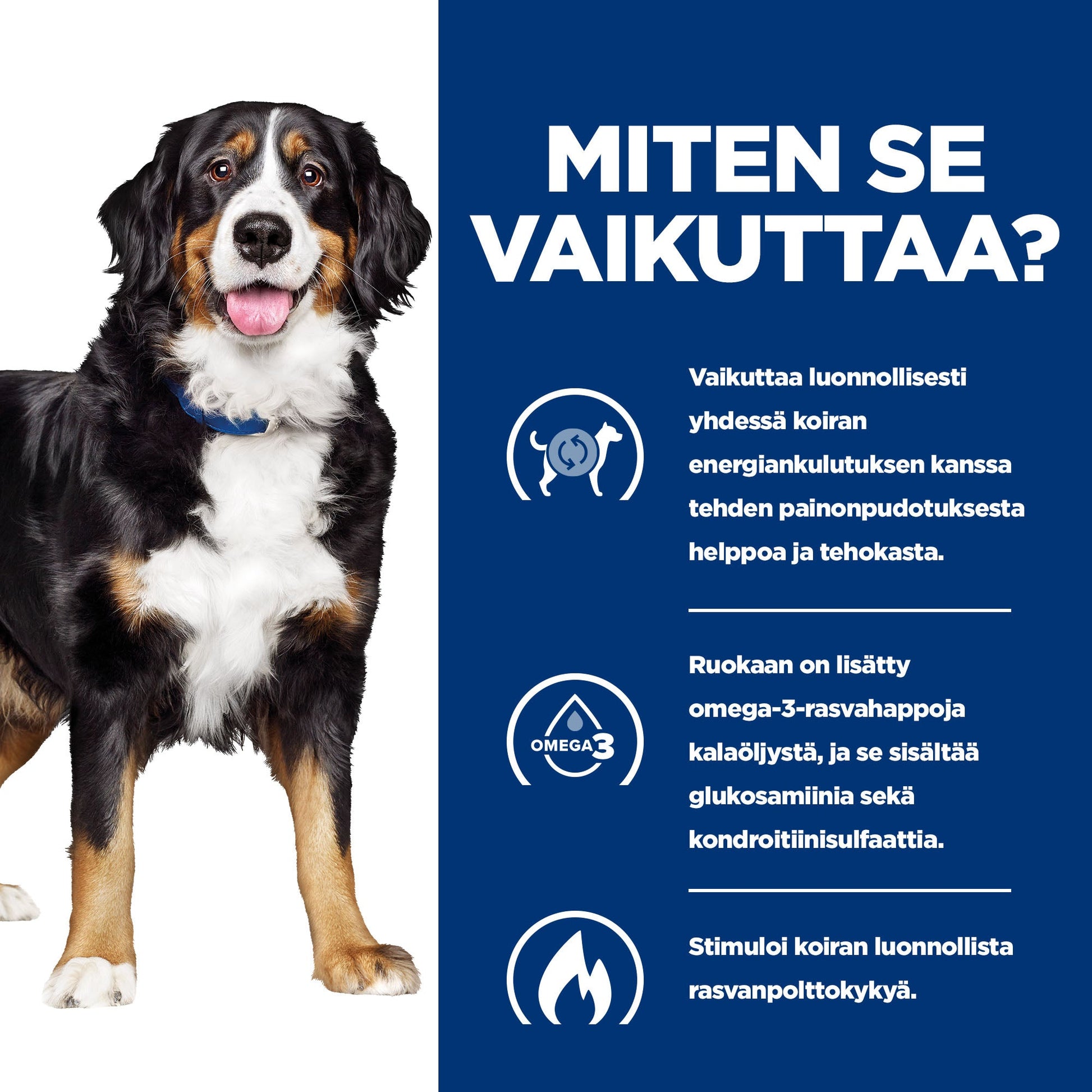 Hill's PRESCRIPTION DIET Metabolic + Mobility koiran kuivaruoka - kana - BK31839M_BK28469_How_Works_FI