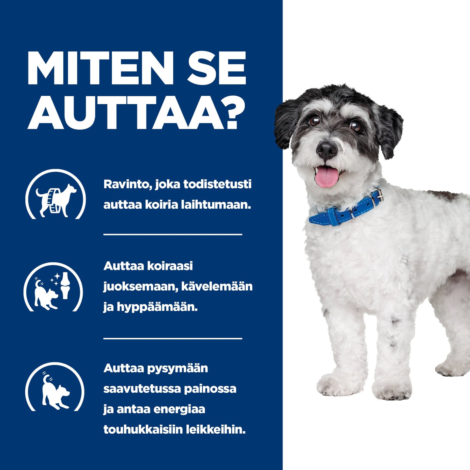 Hill's PRESCRIPTION DIET Metabolic + Mobility Mini koiran kuivaruoka - kana - DOG_BK31838M_How_Helps_FI