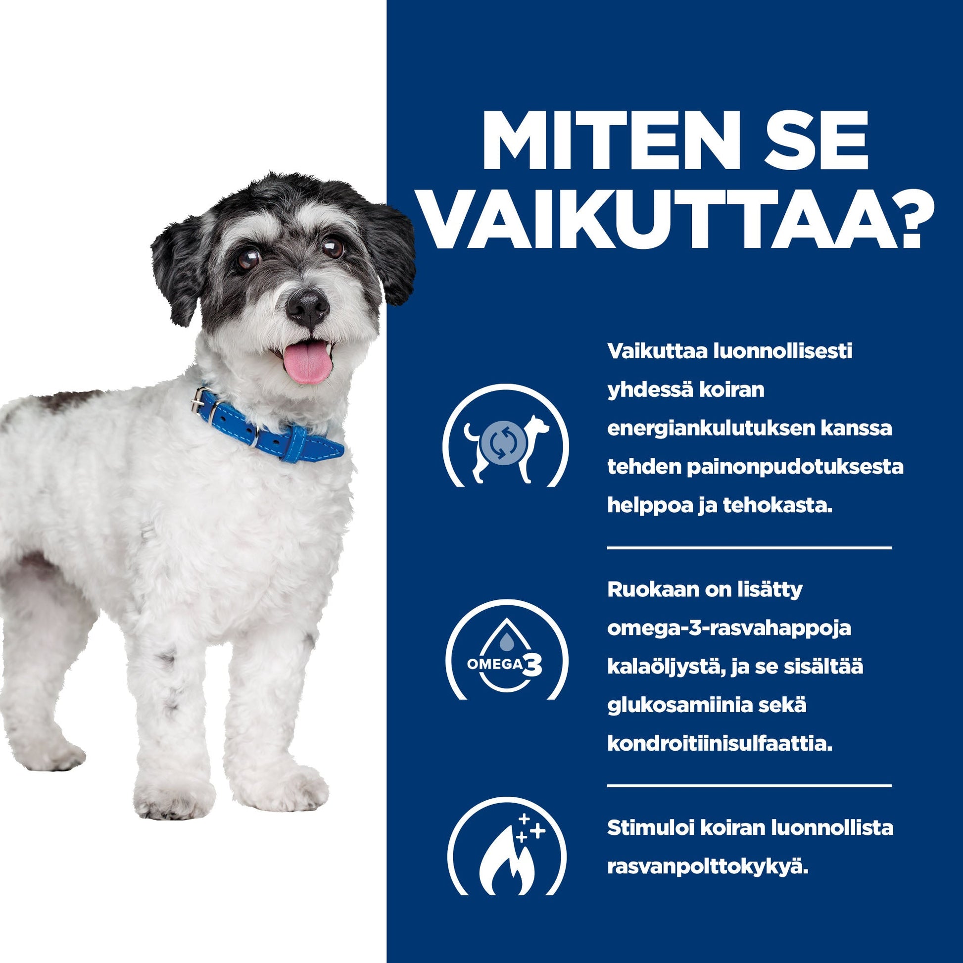 Hill's PRESCRIPTION DIET Metabolic + Mobility Mini koiran kuivaruoka - kana - DOG_BK31838M_How_Works_FI
