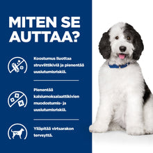 Hill's PRESCRIPTION DIET c/d Multicare koiran kuivaruoka - kana - BK26434M_BK32581_BK28303_BK28465_How_Helps_FI