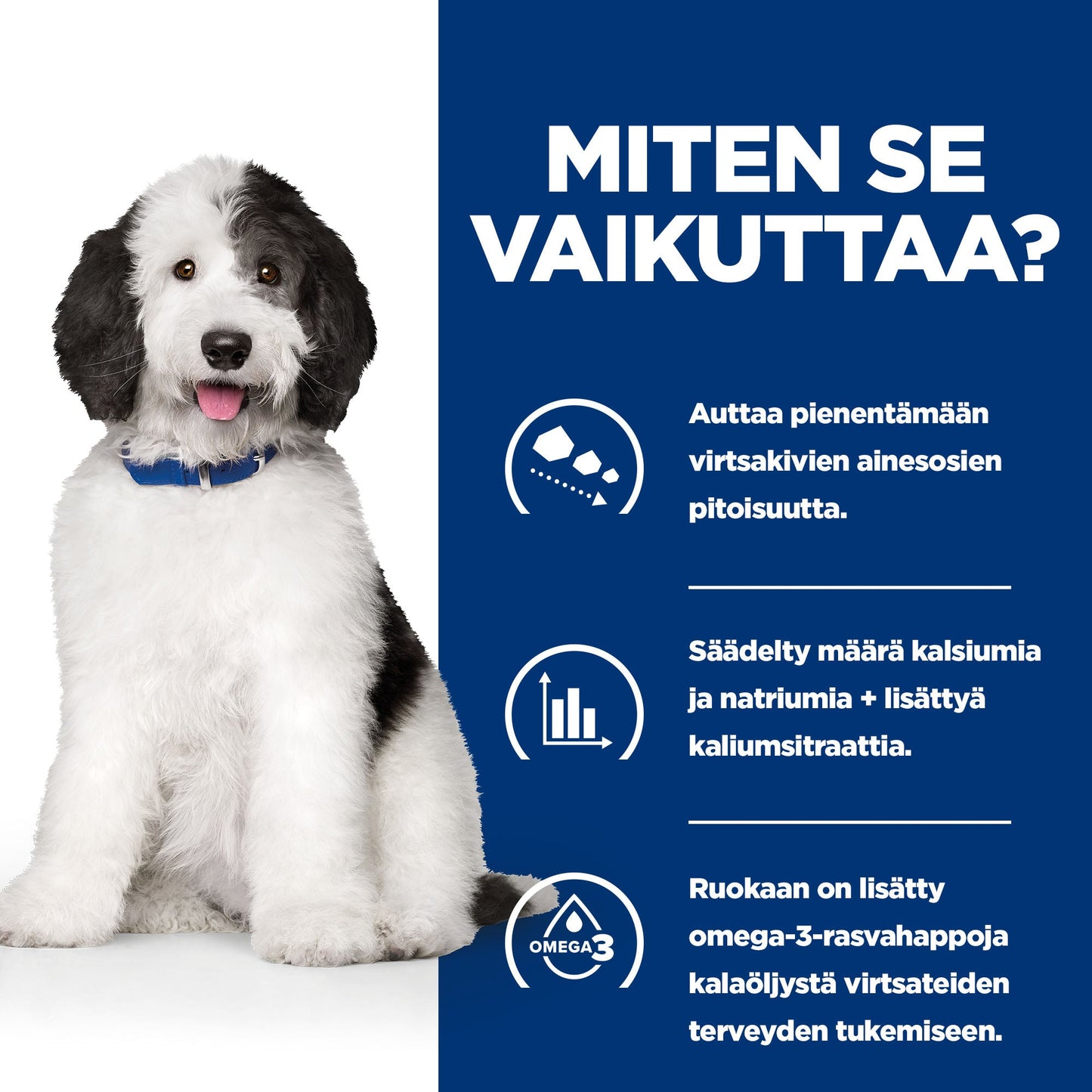 Hill's PRESCRIPTION DIET c/d Multicare koiran kuivaruoka - kana - BK26434M_BK32581_BK28303_BK28465_How_Works_FI