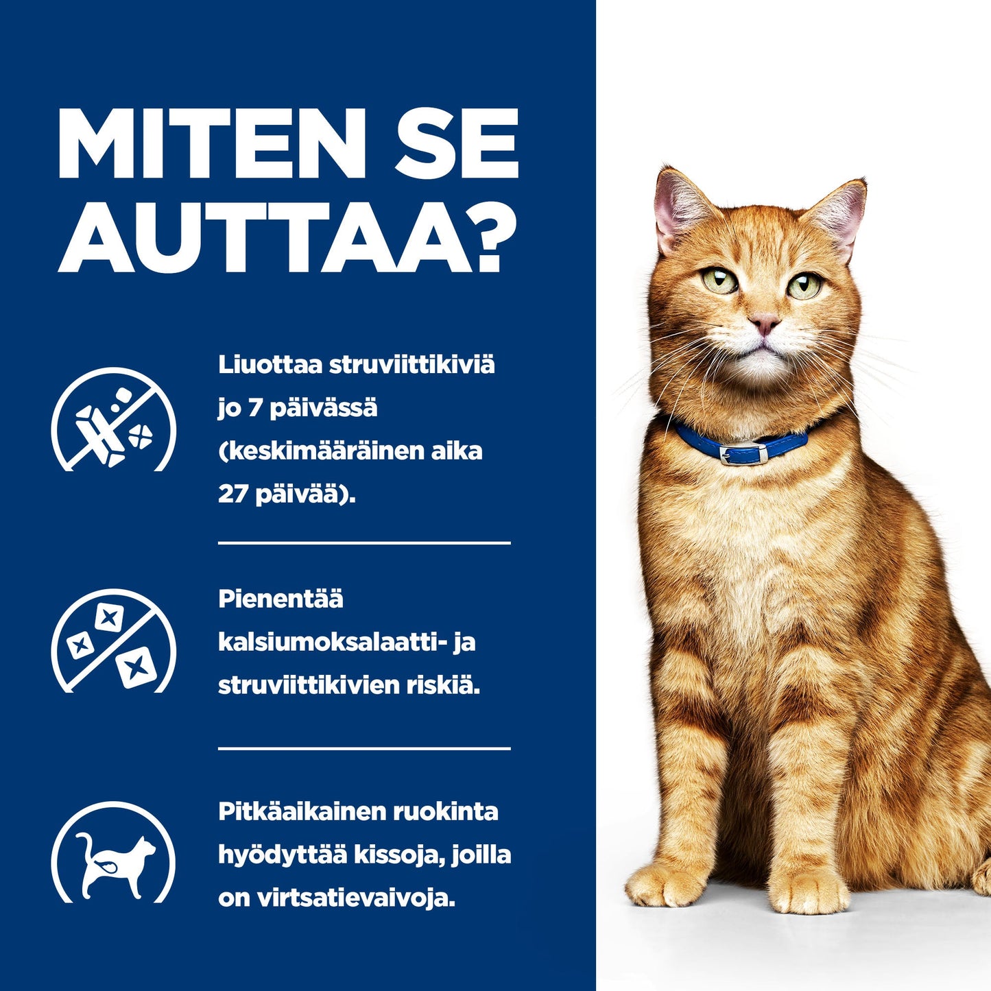 Hill's PRESCRIPTION DIET c/d Multicare kissan märkäruoka - kana 12x85g - CAT_BK20177_BK25948M_BK26382M_BK27563M_BK28017_How_Helps_FI
