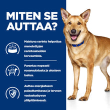 Hill's PRESCRIPTION DIET i/d koiran märkäruoka - kalkkuna 12x360g - BK30978M_BK31617_BK30920_How_Helps_FI