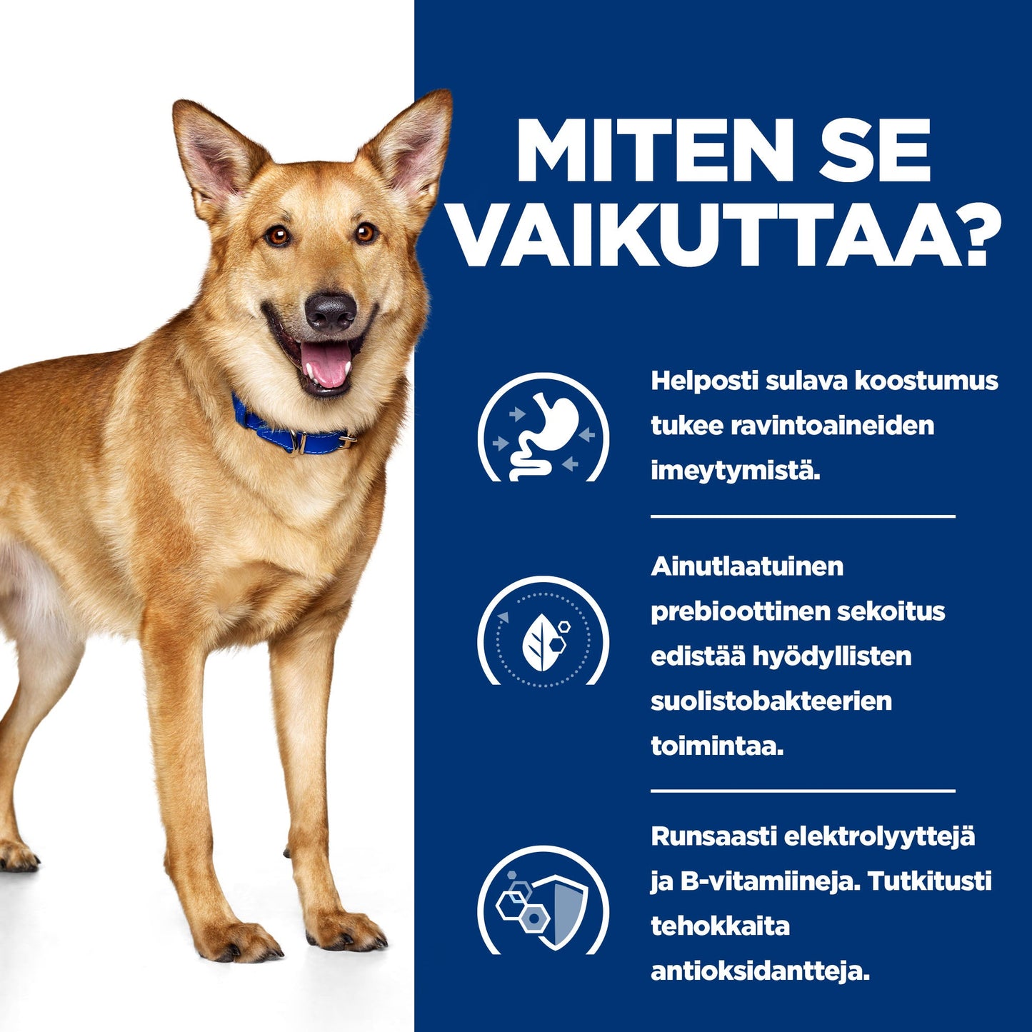 Hill's PRESCRIPTION DIET i/d koiran märkäruoka - kalkkuna 12x360g - BK30978M_BK31617_BK30920_How_Works_FI