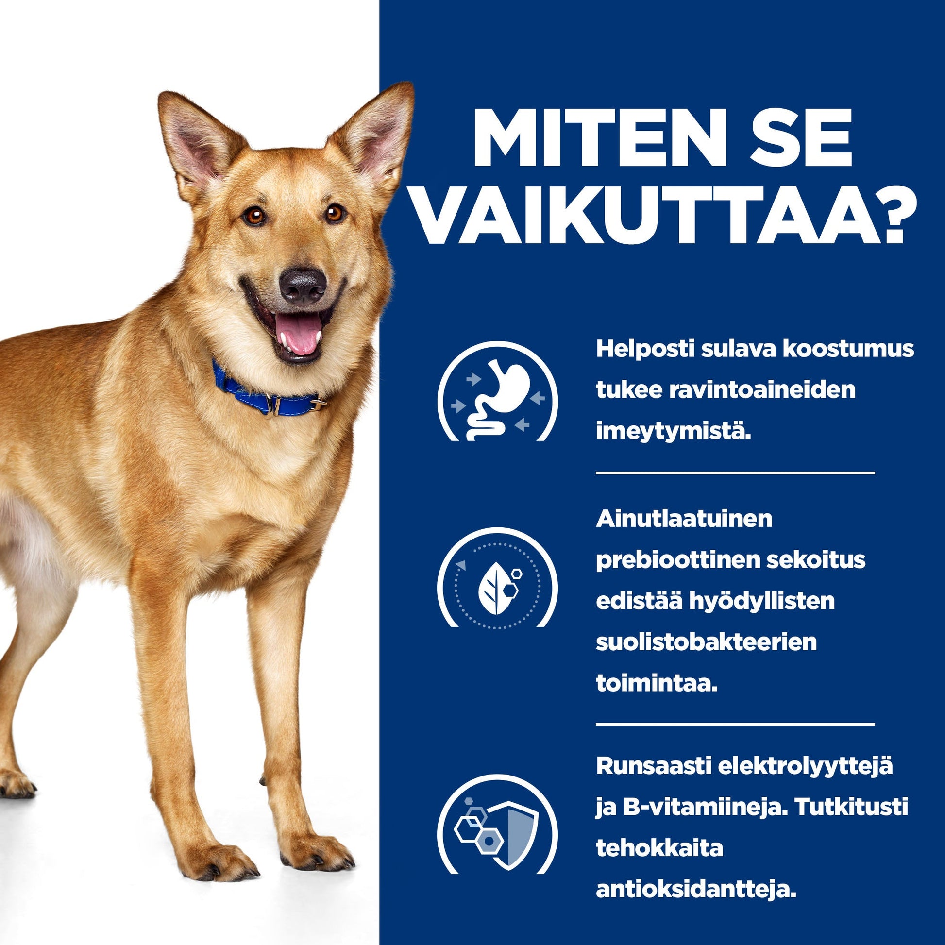 Hill's PRESCRIPTION DIET i/d koiran märkäruoka - kalkkuna 12x360g - BK30978M_BK31617_BK30920_How_Works_FI