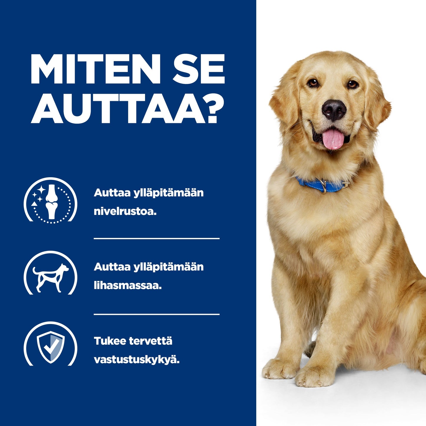 Hill's PRESCRIPTION DIET j/d nivelrikkoon koiran kuivaruoka - BK25363M_BK30425_6139N_How_Helps_FI