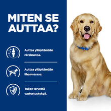 Hill's PRESCRIPTION DIET j/d nivelrikkoon koiran kuivaruoka - BK25363M_BK30425_6139N_How_Helps_FI
