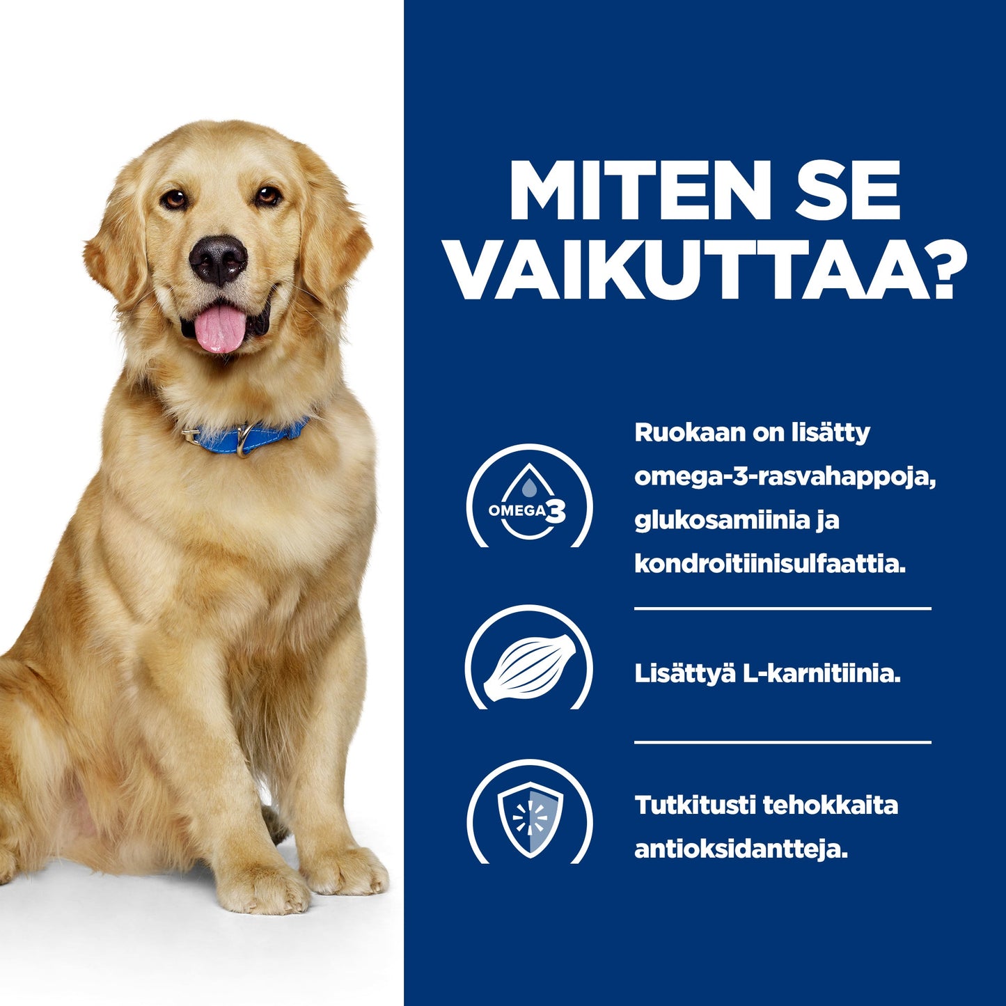 Hill's PRESCRIPTION DIET j/d nivelrikkoon koiran kuivaruoka - BK25363M_BK30425_6139N_How_Works_FI