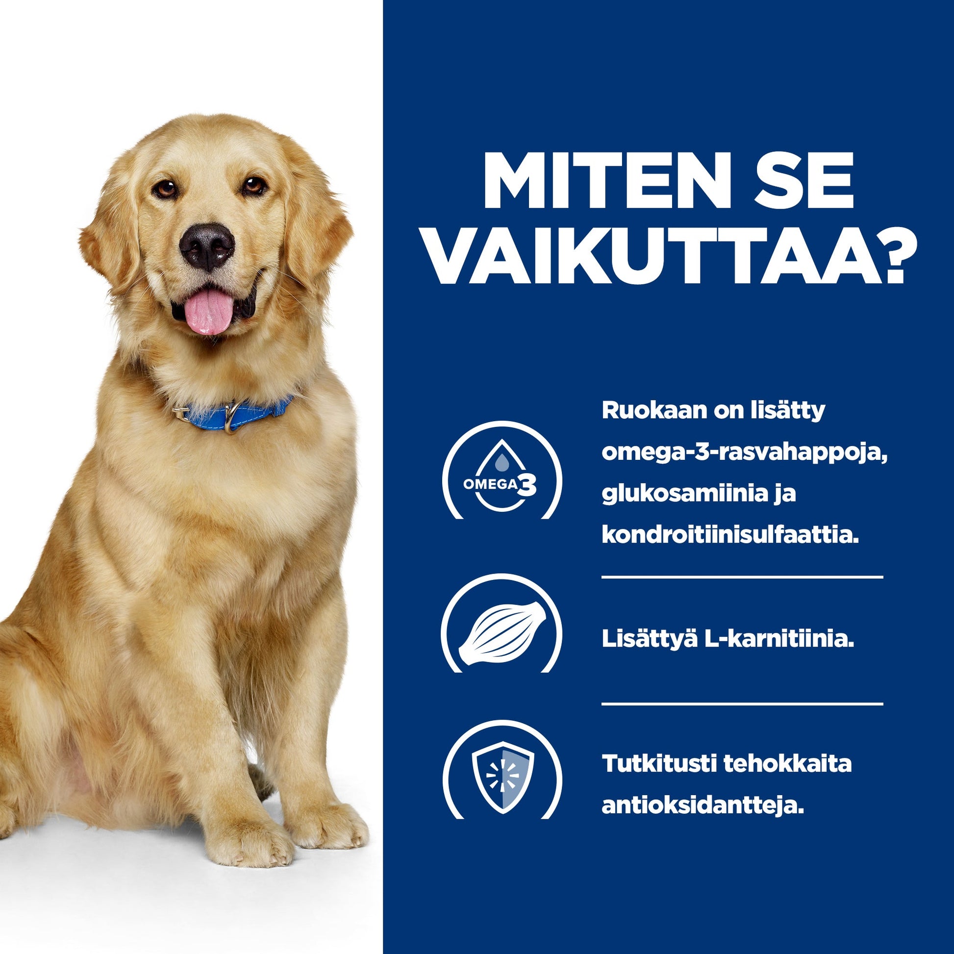 Hill's PRESCRIPTION DIET j/d nivelrikkoon koiran kuivaruoka - BK25363M_BK30425_6139N_How_Works_FI