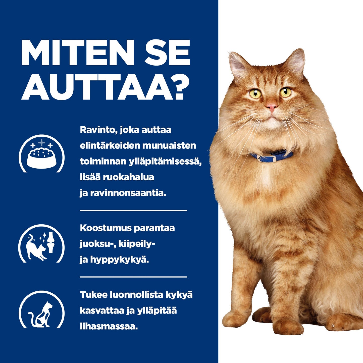 Hill's PRESCRIPTION DIET k/d + Mobility kissan märkäruoka - kana 12x85g - BK24069M_BK27533M_How_Helps_FI