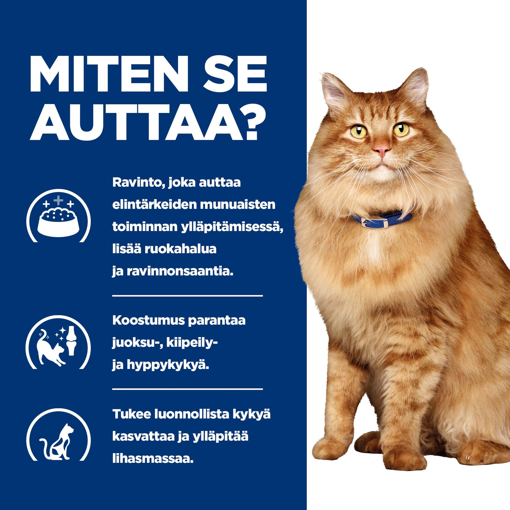 Hill's PRESCRIPTION DIET k/d + Mobility kissan märkäruoka - kana 12x85g - BK24069M_BK27533M_How_Helps_FI