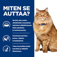 Hill's PRESCRIPTION DIET k/d + Mobility kissan märkäruoka - kana 12x85g - BK24069M_BK27533M_How_Helps_FI