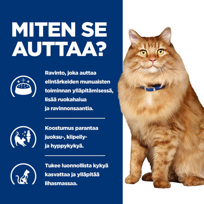 Hill's PRESCRIPTION DIET k/d + Mobility kissan märkäruoka - kana 12x85g - BK24069M_BK27533M_How_Helps_FI