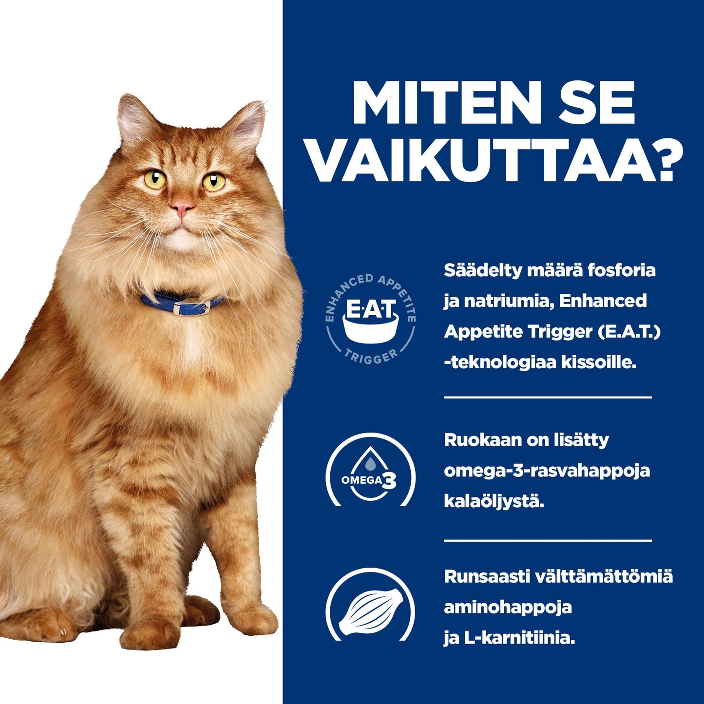 Hill's PRESCRIPTION DIET k/d + Mobility kissan märkäruoka - kana 12x85g - BK24069M_BK27533M_How_Works_FI
