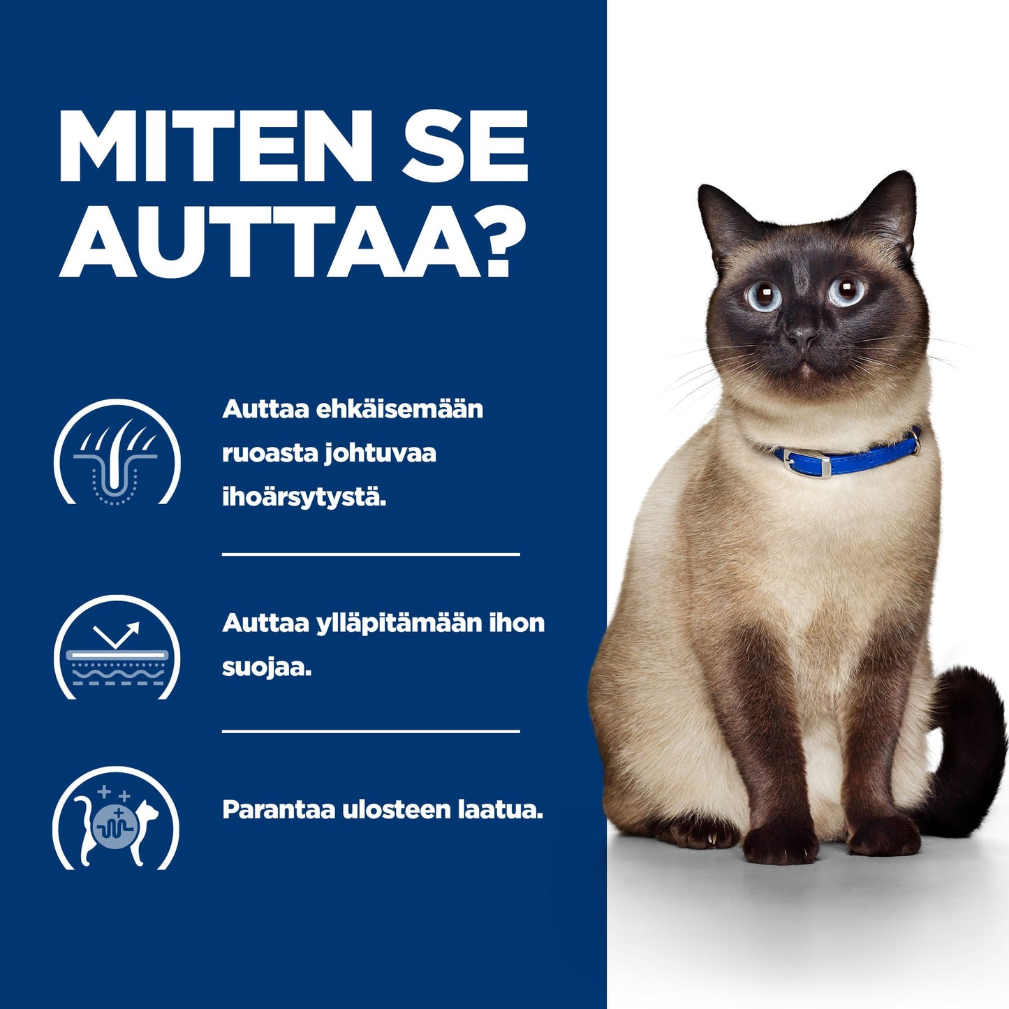 Hill's PRESCRIPTION DIET z/d kissan kuivaruoka - CAT_BK30874M_BK30696_How_Helps_FI