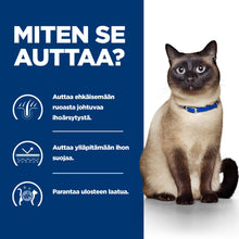 Hill's PRESCRIPTION DIET z/d kissan kuivaruoka - CAT_BK30874M_BK30696_How_Helps_FI