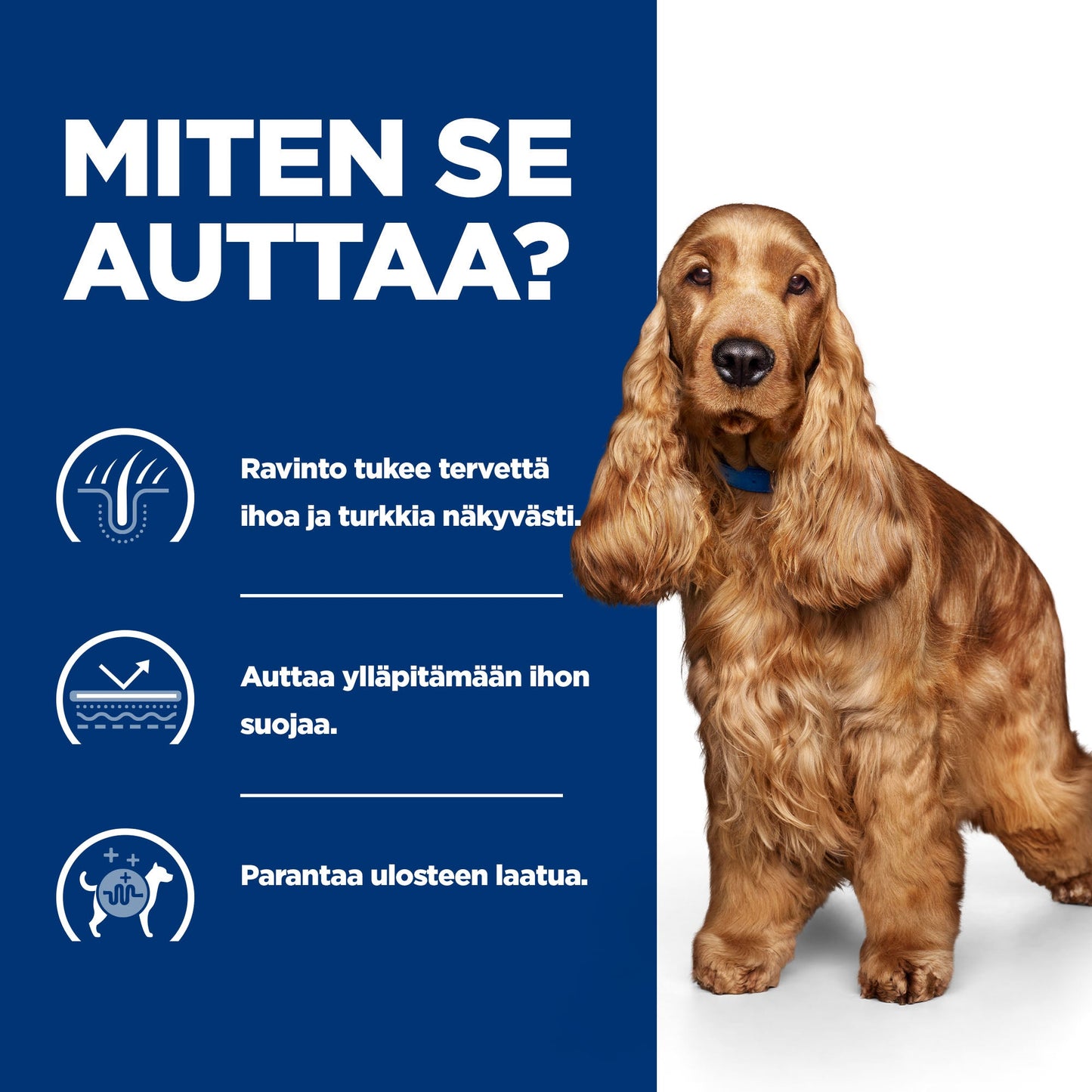 Hill's PRESCRIPTION DIET z/d koiran märkäruoka 12x370g - BK30873M_BK30972_How_Helps_FI